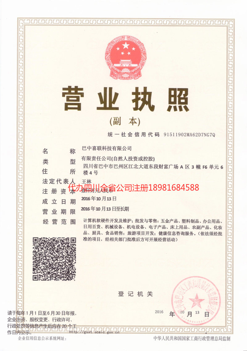 仪征仪征喜联科技有限公司